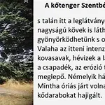 A Festo Vendeghaza / The Painter's * Zánka