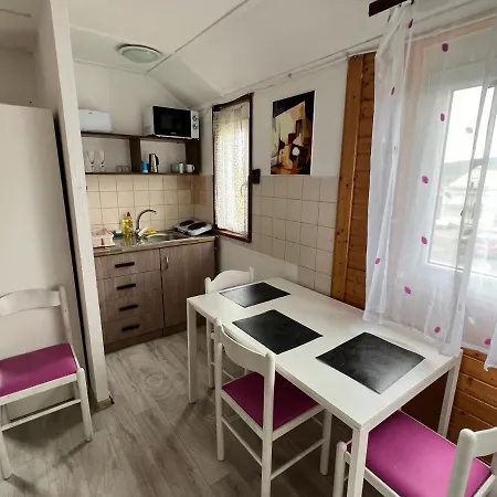 A Festo Vendeghaza / The Painter's *