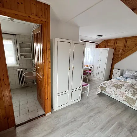 A Festo Vendeghaza / The Painter's Daire