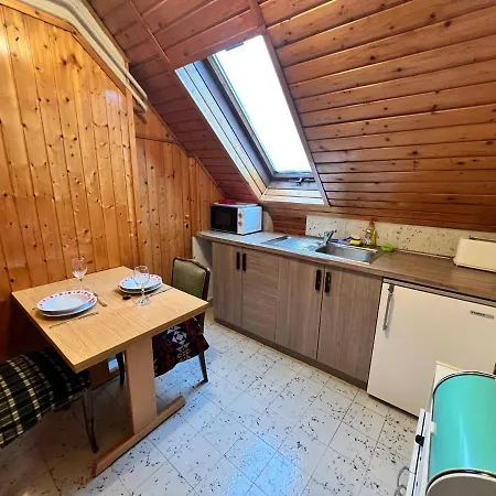 Apartment A Festo Vendeghaza / The Painter's