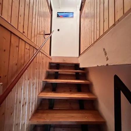 Daire A Festo Vendeghaza / The Painter's