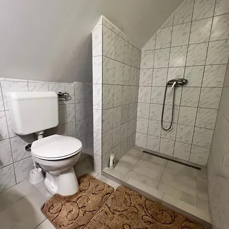 A Festo Vendeghaza / The Painter's