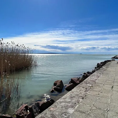 Daire A Festo Vendeghaza / The Painter's *