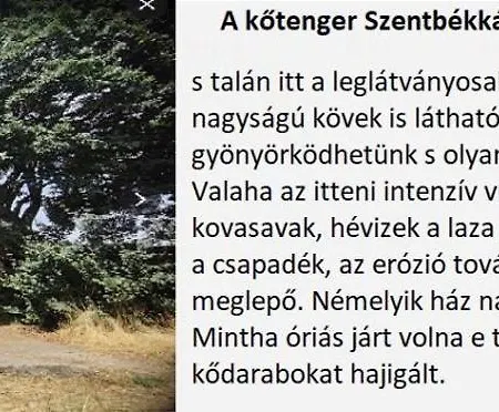 A Festo Vendeghaza / The Painter's * Zánka