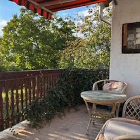 A Festo Vendeghaza / The Painter's Appartement