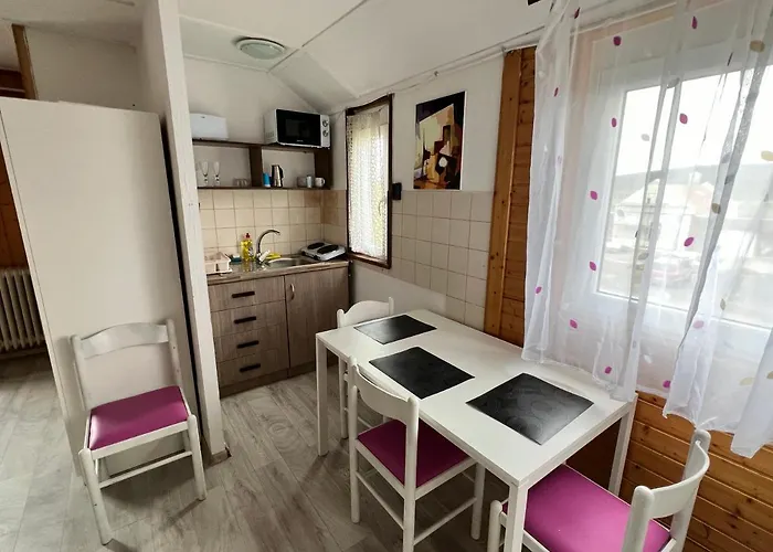 A Festo Vendeghaza / The Painter's *