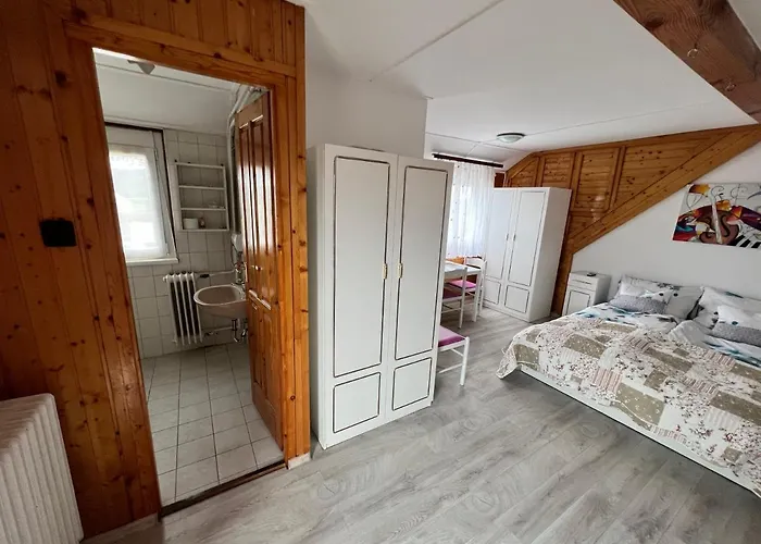 A Festo Vendeghaza / The Painter's דירה