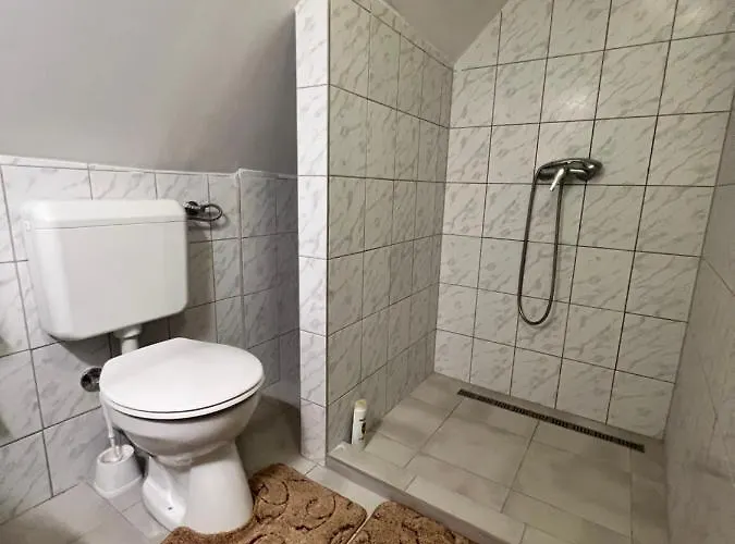 A Festo Vendeghaza / The Painter's