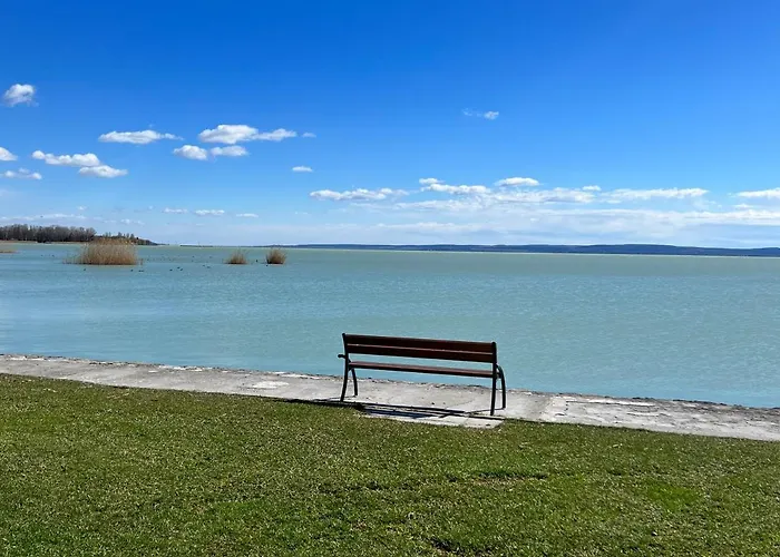 A Festo Vendeghaza / The Painter's * Zánka