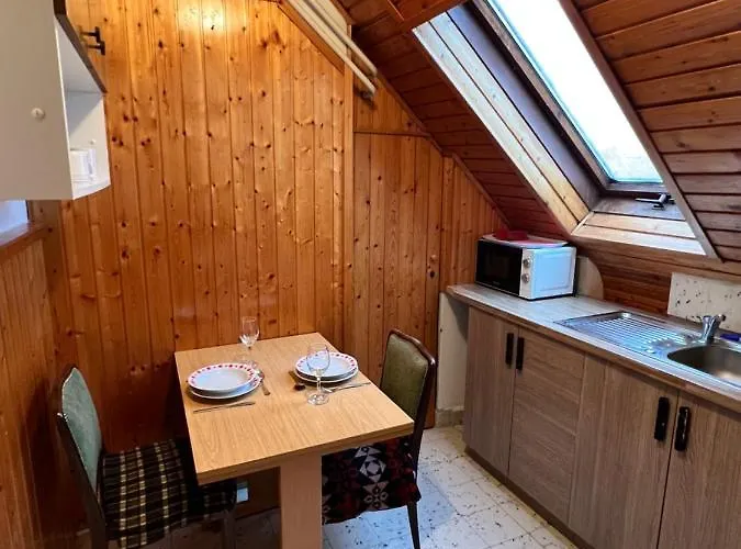 A Festo Vendeghaza / The Painter's דירה