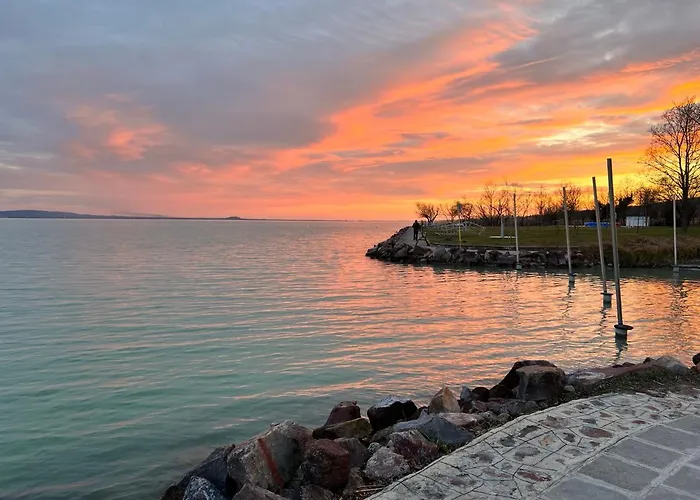 A Festo Vendeghaza / The Painter's *