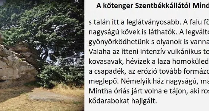 A Festo Vendeghaza / The Painter's * Zánka